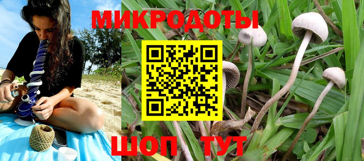 Галлюциногенные грибы GOLDEN TEACHER Орск